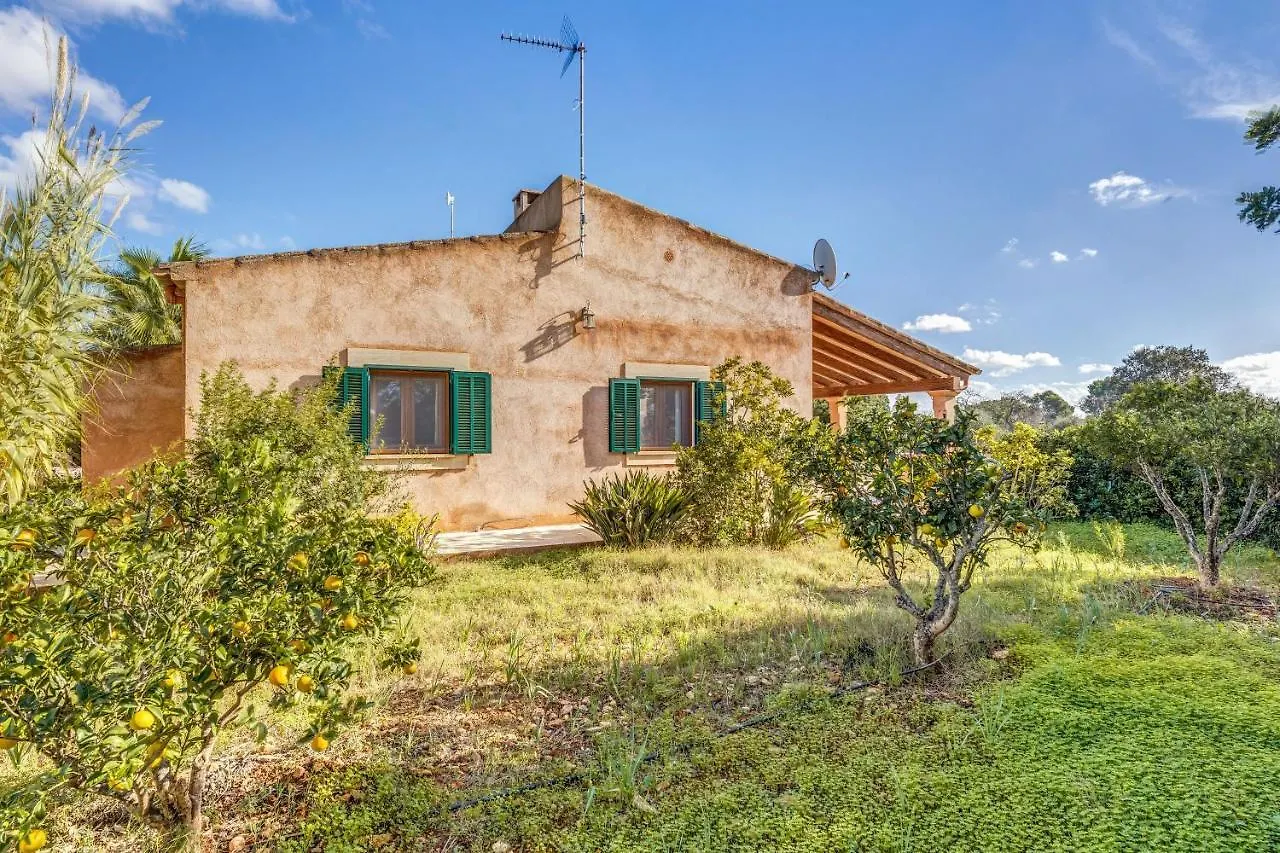 Cami D'Es Torres Villa Portopetro Spanyolország